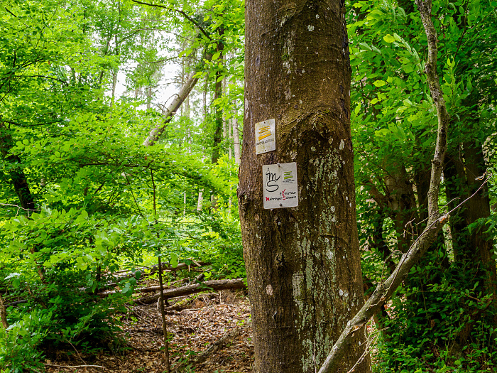 Klicke auf die Grafik für eine vergrößerte Ansicht

Name: Bild 34.jpg
Ansichten: 109
Größe: 1,21 MB
ID: 3361773