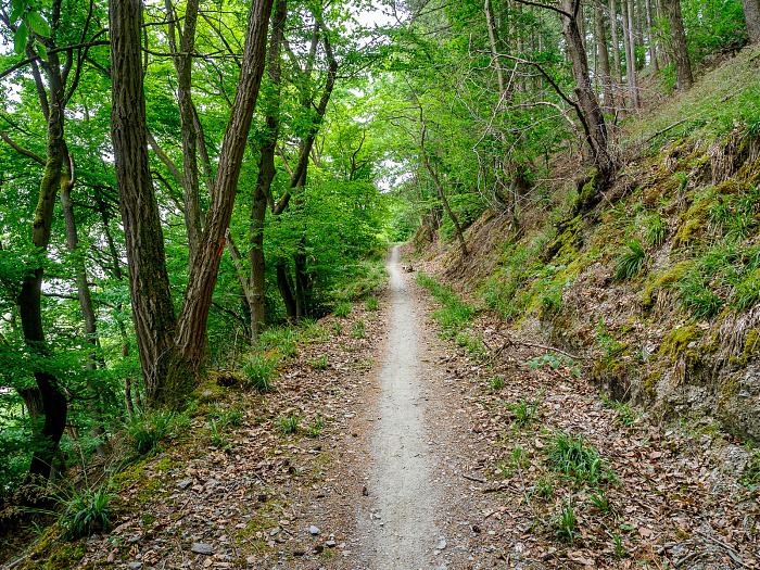 Klicke auf die Grafik für eine vergrößerte Ansicht

Name: Bild 36.jpg
Ansichten: 109
Größe: 1,60 MB
ID: 3361774