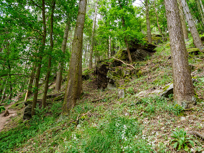 Klicke auf die Grafik für eine vergrößerte Ansicht

Name: Bild 39.jpg
Ansichten: 110
Größe: 1,52 MB
ID: 3361776