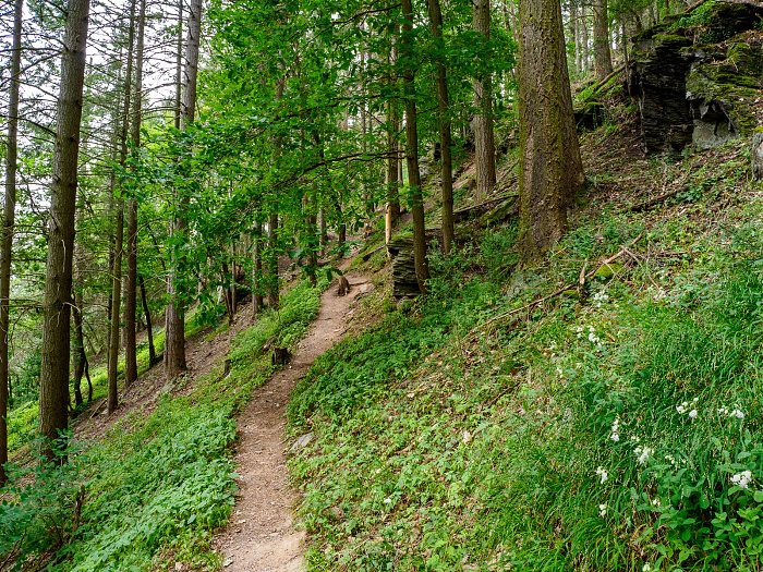 Klicke auf die Grafik für eine vergrößerte Ansicht

Name: Bild 40.jpg
Ansichten: 109
Größe: 1,58 MB
ID: 3361777