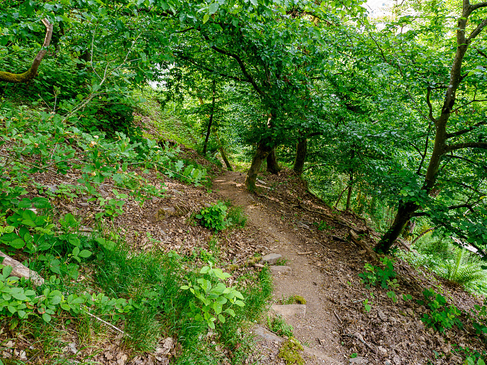 Klicke auf die Grafik für eine vergrößerte Ansicht

Name: Bild 43.jpg
Ansichten: 109
Größe: 1,60 MB
ID: 3361780