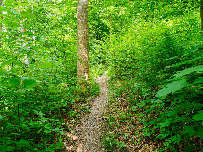 Klicke auf die Grafik für eine vergrößerte Ansicht

Name: Bild 45.jpg
Ansichten: 108
Größe: 1,52 MB
ID: 3361781