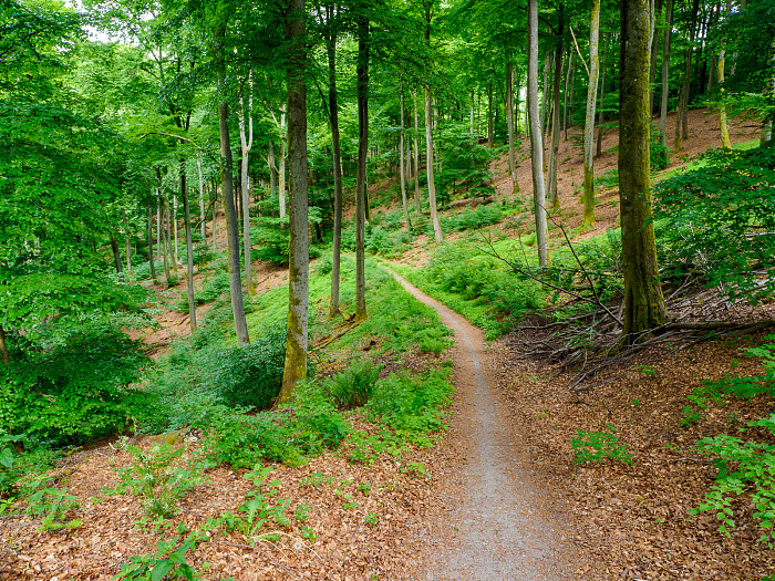 Klicke auf die Grafik für eine vergrößerte Ansicht

Name: Bild 46.jpg
Ansichten: 107
Größe: 1,43 MB
ID: 3361782