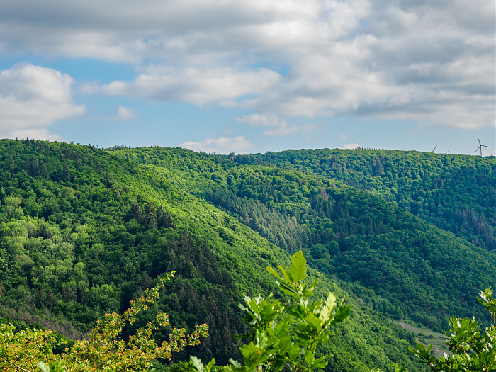 Klicke auf die Grafik für eine vergrößerte Ansicht

Name: Bild 53.jpg
Ansichten: 108
Größe: 770,0 KB
ID: 3361785