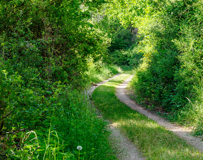 Klicke auf die Grafik für eine vergrößerte Ansicht

Name: Bild 58.jpg
Ansichten: 109
Größe: 1,48 MB
ID: 3361794