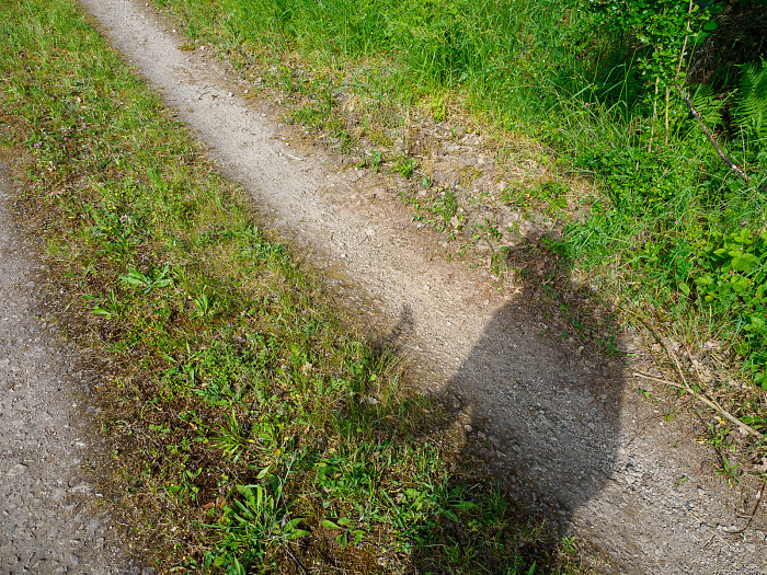 Klicke auf die Grafik für eine vergrößerte Ansicht

Name: Bild 57.jpg
Ansichten: 110
Größe: 1,49 MB
ID: 3361795