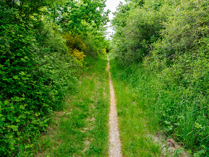 Klicke auf die Grafik für eine vergrößerte Ansicht

Name: Bild 59.jpg
Ansichten: 110
Größe: 1,51 MB
ID: 3361796