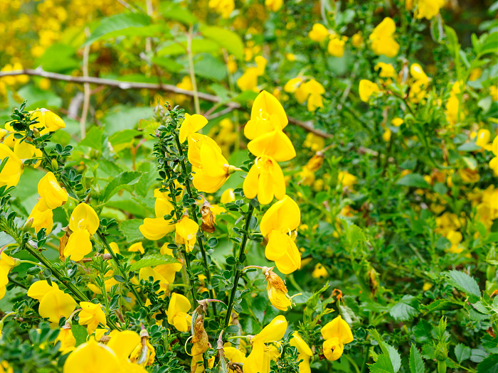 Klicke auf die Grafik für eine vergrößerte Ansicht

Name: Bild 61.jpg
Ansichten: 107
Größe: 702,8 KB
ID: 3361797