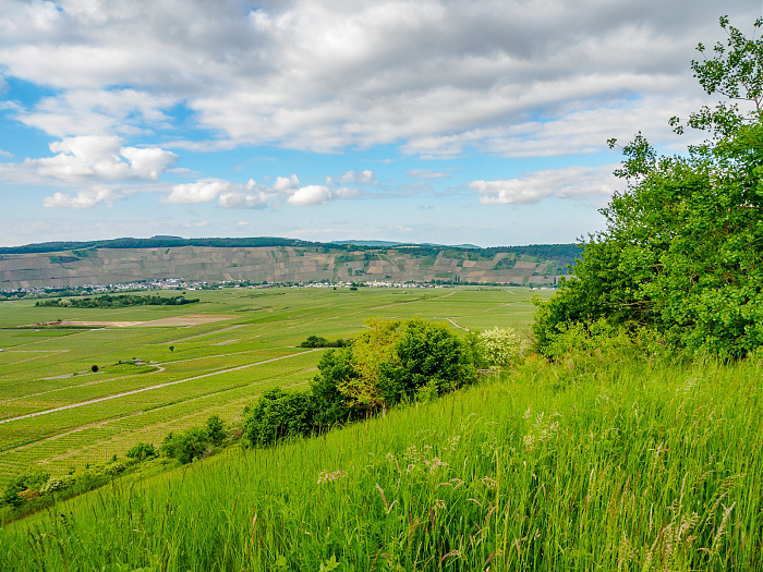 Klicke auf die Grafik für eine vergrößerte Ansicht  Name: Bild 65.jpg Ansichten: 0 Größe: 909,7 KB ID: 3361804