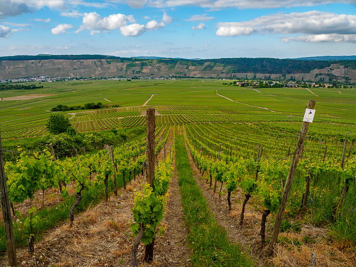 Klicke auf die Grafik für eine vergrößerte Ansicht  Name: Bild 66.jpg Ansichten: 0 Größe: 998,3 KB ID: 3361805