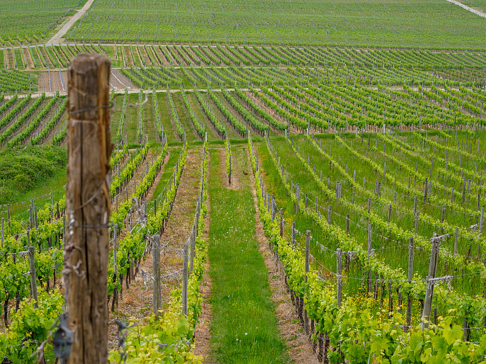 Klicke auf die Grafik für eine vergrößerte Ansicht  Name: Bild 67.jpg Ansichten: 0 Größe: 1,21 MB ID: 3361806