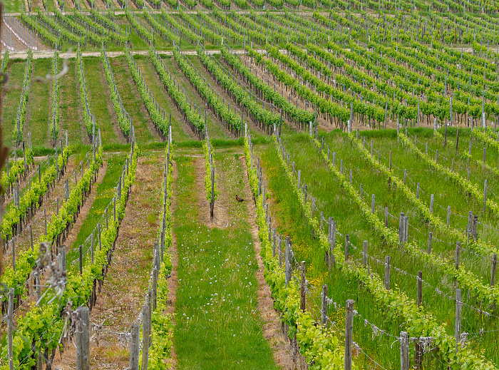 Klicke auf die Grafik für eine vergrößerte Ansicht  Name: Bild 68.jpg Ansichten: 0 Größe: 1,17 MB ID: 3361807