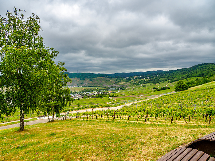 Klicke auf die Grafik für eine vergrößerte Ansicht  Name: Bild -7.jpg Ansichten: 0 Größe: 1,06 MB ID: 3361897