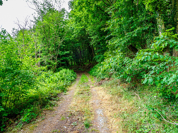 Klicke auf die Grafik für eine vergrößerte Ansicht  Name: Bild -10.jpg Ansichten: 0 Größe: 1,78 MB ID: 3361903