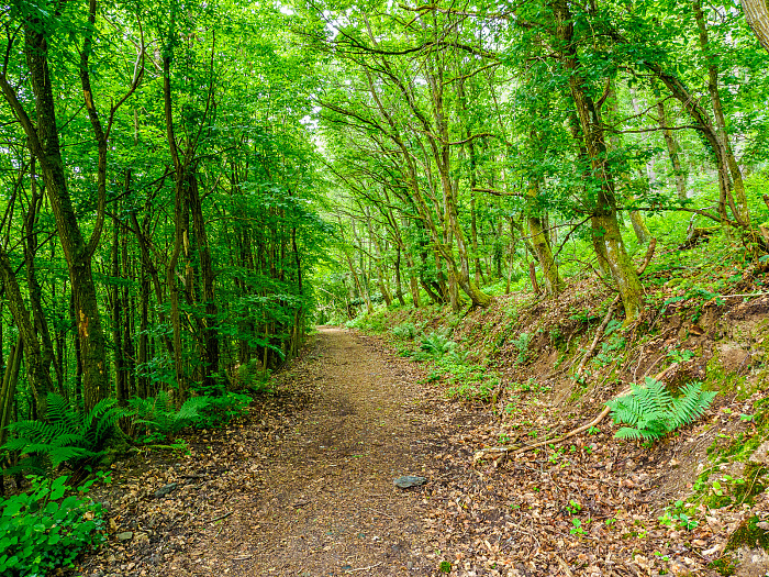 Klicke auf die Grafik für eine vergrößerte Ansicht  Name: Bild -11.jpg Ansichten: 0 Größe: 1,86 MB ID: 3361904