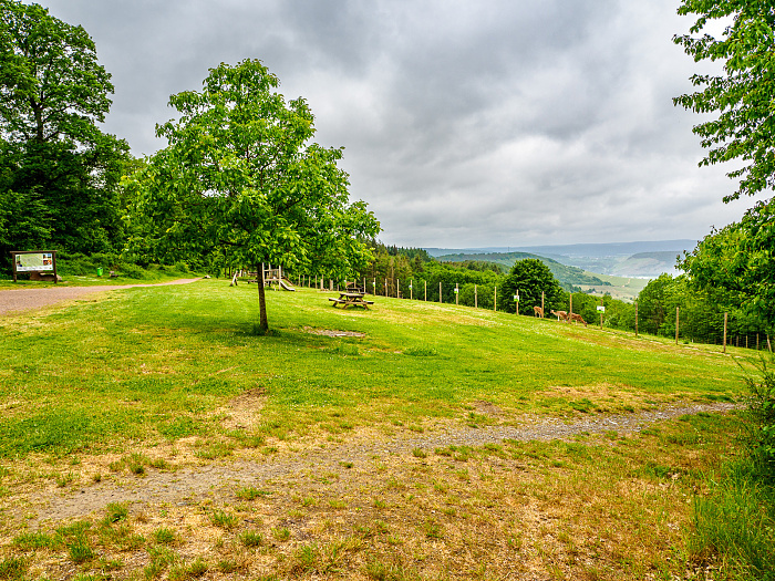 Klicke auf die Grafik für eine vergrößerte Ansicht  Name: Bild -13.jpg Ansichten: 0 Größe: 1,26 MB ID: 3361906