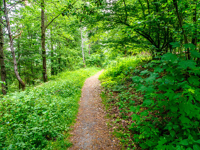 Klicke auf die Grafik für eine vergrößerte Ansicht  Name: Bild -14.jpg Ansichten: 0 Größe: 1,65 MB ID: 3361909