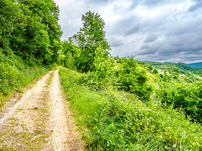 Klicke auf die Grafik für eine vergrößerte Ansicht  Name: Bild -21.jpg Ansichten: 0 Größe: 1,53 MB ID: 3361912