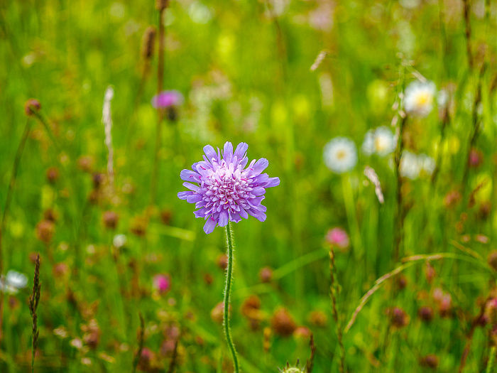 Klicke auf die Grafik für eine vergrößerte Ansicht  Name: Bild -27.jpg Ansichten: 0 Größe: 421,9 KB ID: 3361919