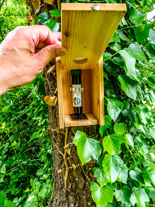 Klicke auf die Grafik für eine vergrößerte Ansicht

Name: Bild -31.jpg
Ansichten: 91
Größe: 1,13 MB
ID: 3361928