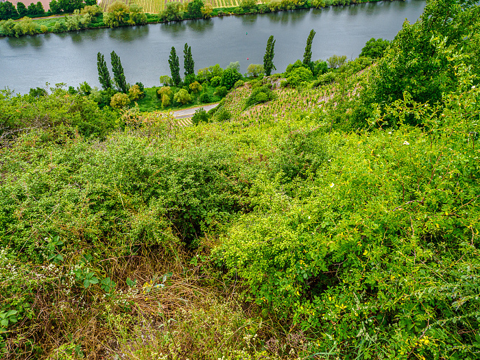 Klicke auf die Grafik für eine vergrößerte Ansicht

Name: Bild -32.jpg
Ansichten: 90
Größe: 1,70 MB
ID: 3361929