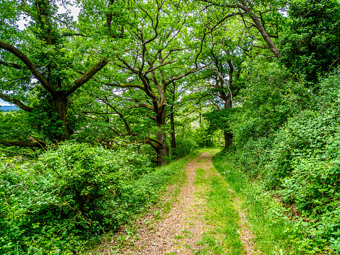 Klicke auf die Grafik für eine vergrößerte Ansicht

Name: Bild -34.jpg
Ansichten: 90
Größe: 1,76 MB
ID: 3361931