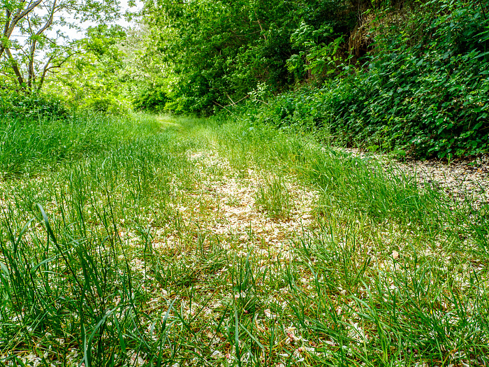 Klicke auf die Grafik für eine vergrößerte Ansicht

Name: Bild -35.jpg
Ansichten: 90
Größe: 1,70 MB
ID: 3361933