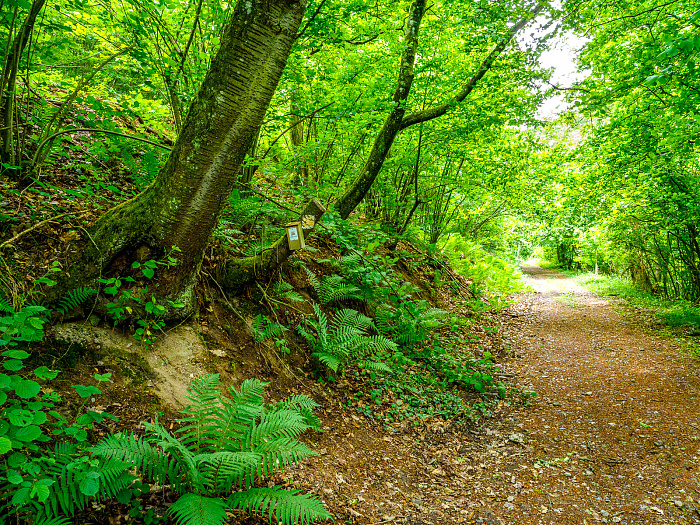 Klicke auf die Grafik für eine vergrößerte Ansicht

Name: Bild -39.jpg
Ansichten: 89
Größe: 1,82 MB
ID: 3361935