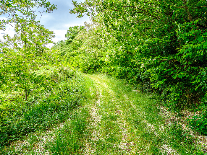 Klicke auf die Grafik für eine vergrößerte Ansicht

Name: Bild -37.jpg
Ansichten: 90
Größe: 1,82 MB
ID: 3361937