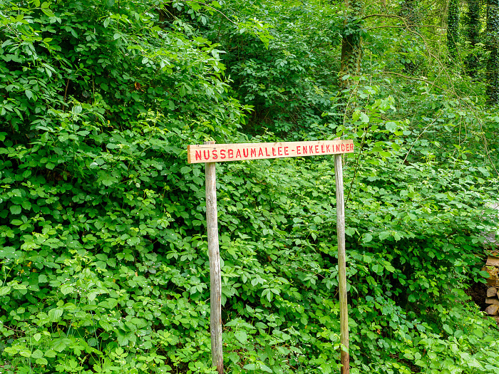 Klicke auf die Grafik für eine vergrößerte Ansicht

Name: Bild -40.jpg
Ansichten: 88
Größe: 1,42 MB
ID: 3361938