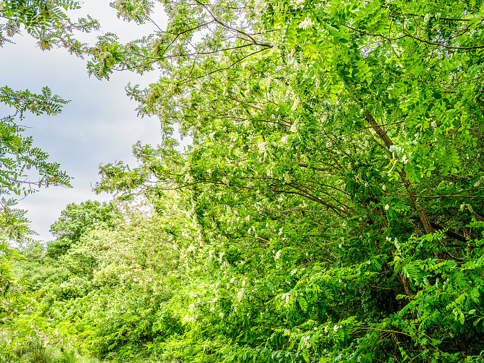 Klicke auf die Grafik für eine vergrößerte Ansicht

Name: Bild -36.jpg
Ansichten: 89
Größe: 1,71 MB
ID: 3361939