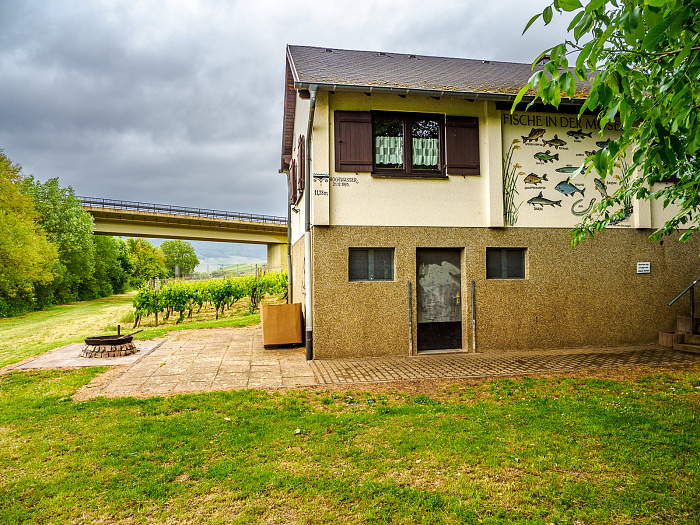 Klicke auf die Grafik für eine vergrößerte Ansicht

Name: Bild -47.jpg
Ansichten: 89
Größe: 1,13 MB
ID: 3361944