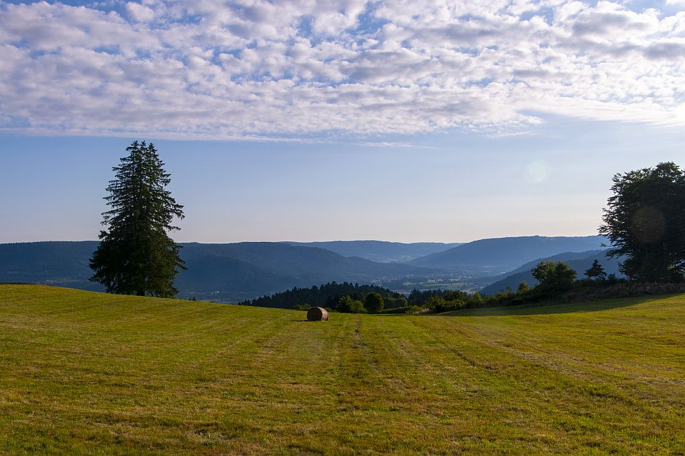 Klicke auf die Grafik für eine vergrößerte Ansicht  Name: 04 Da unten im Tal liegt Remiremont.jpg Ansichten: 0 Größe: 204,6 KB ID: 3361970