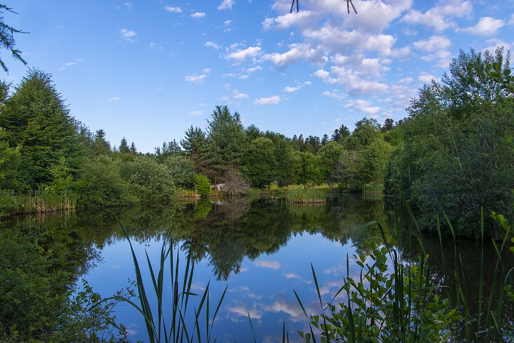 Klicke auf die Grafik für eine vergrößerte Ansicht  Name: 03 Ein kleiner See kurz vor dem höchsten Punkt für heute.jpg Ansichten: 0 Größe: 260,9 KB ID: 3361971