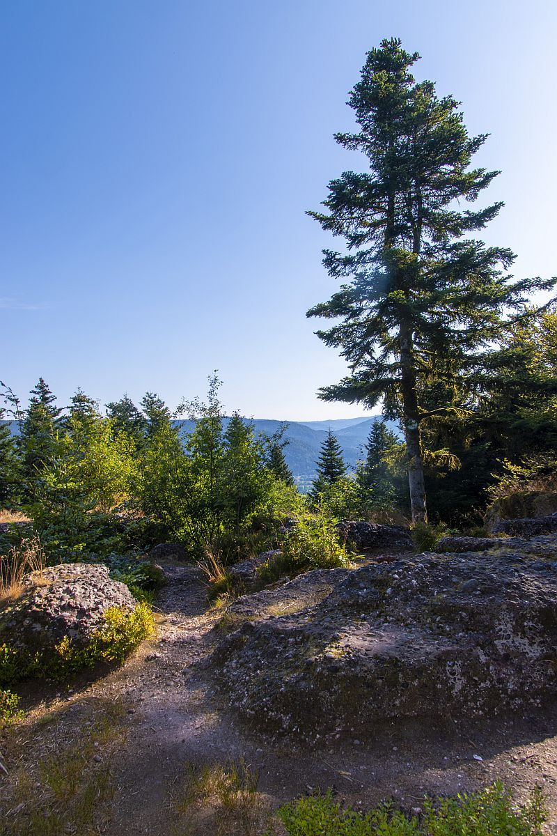 Klicke auf die Grafik für eine vergrößerte Ansicht  Name: 07 Ein letzter Aussichtspunkt mit Blick aufs Moseltal.jpg Ansichten: 0 Größe: 399,1 KB ID: 3361974
