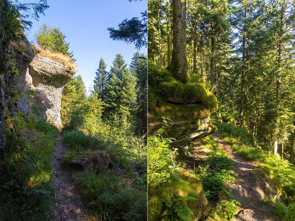 Klicke auf die Grafik für eine vergrößerte Ansicht  Name: 08 Der Weg nach Remiremont hinunter.jpg Ansichten: 0 Größe: 532,5 KB ID: 3361977