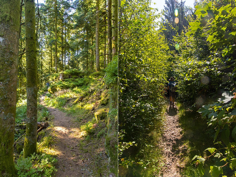 Klicke auf die Grafik für eine vergrößerte Ansicht  Name: 09 In dieser Art geht es bis an den Ortsrand von Remiremont.jpg Ansichten: 0 Größe: 556,3 KB ID: 3361978