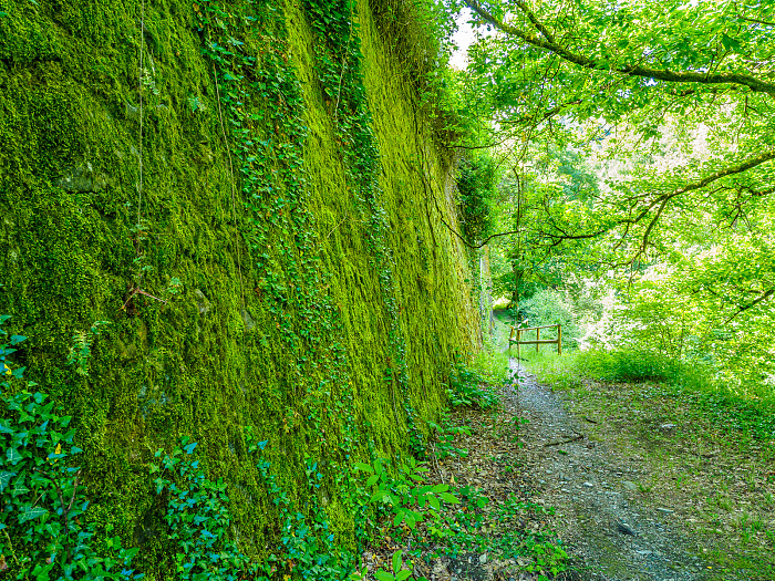 Klicke auf die Grafik für eine vergrößerte Ansicht

Name: Bild -1.jpg
Ansichten: 77
Größe: 1,86 MB
ID: 3362022