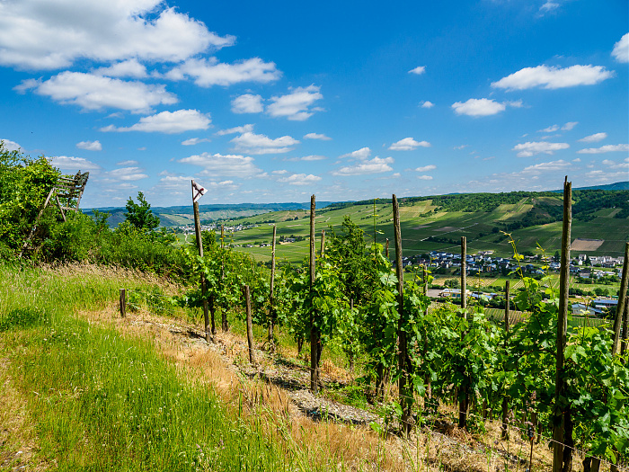 Klicke auf die Grafik für eine vergrößerte Ansicht

Name: Bild -8.jpg
Ansichten: 77
Größe: 1,08 MB
ID: 3362027