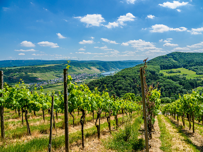 Klicke auf die Grafik für eine vergrößerte Ansicht

Name: Bild -10.jpg
Ansichten: 77
Größe: 1,09 MB
ID: 3362031