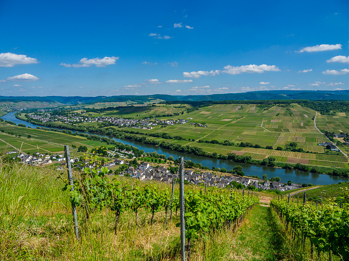 Klicke auf die Grafik für eine vergrößerte Ansicht

Name: Bild -13.jpg
Ansichten: 77
Größe: 982,6 KB
ID: 3362032