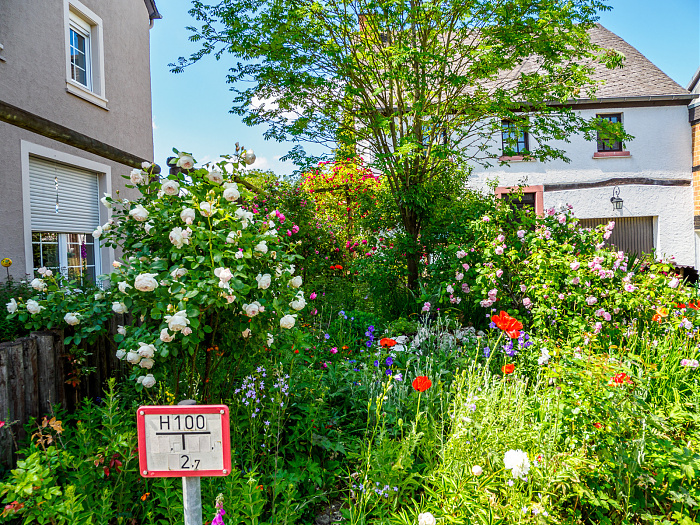 Klicke auf die Grafik für eine vergrößerte Ansicht

Name: Bild -16.jpg
Ansichten: 77
Größe: 1,29 MB
ID: 3362035