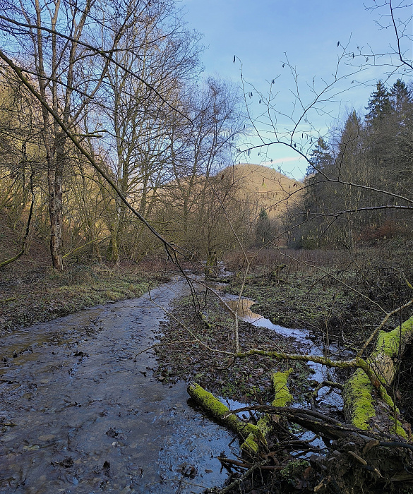 Klicke auf die Grafik für eine vergrößerte Ansicht

Name: 2.jpg
Ansichten: 34
Größe: 1,67 MB
ID: 3362227