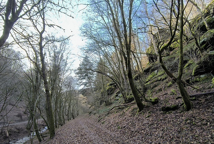 Klicke auf die Grafik für eine vergrößerte Ansicht

Name: 4.jpg
Ansichten: 34
Größe: 1,32 MB
ID: 3362229