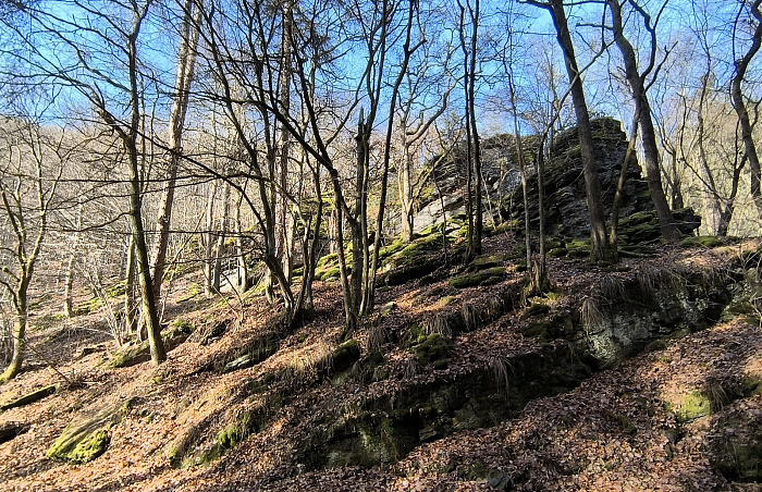 Klicke auf die Grafik für eine vergrößerte Ansicht

Name: 6.jpg
Ansichten: 34
Größe: 1,37 MB
ID: 3362231