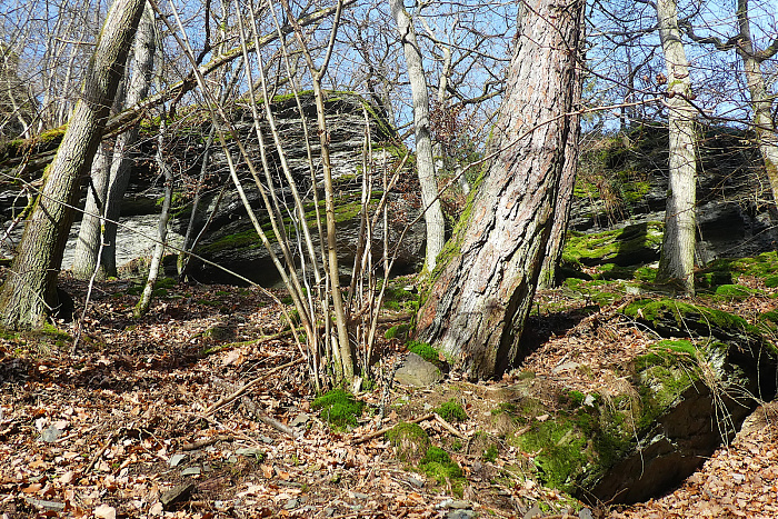 Klicke auf die Grafik für eine vergrößerte Ansicht

Name: 7.jpg
Ansichten: 34
Größe: 1,75 MB
ID: 3362232