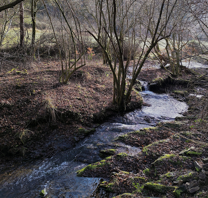 Klicke auf die Grafik für eine vergrößerte Ansicht

Name: 8.jpg
Ansichten: 34
Größe: 2,10 MB
ID: 3362233