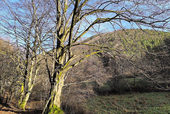 Klicke auf die Grafik für eine vergrößerte Ansicht

Name: 10.jpg
Ansichten: 34
Größe: 1,92 MB
ID: 3362235