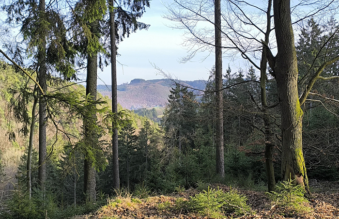 Klicke auf die Grafik für eine vergrößerte Ansicht

Name: 12.jpg
Ansichten: 34
Größe: 1,25 MB
ID: 3362237