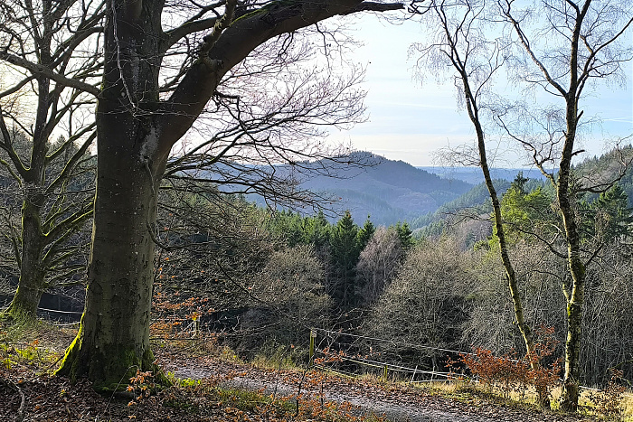 Klicke auf die Grafik für eine vergrößerte Ansicht

Name: 13.jpg
Ansichten: 34
Größe: 1,34 MB
ID: 3362238